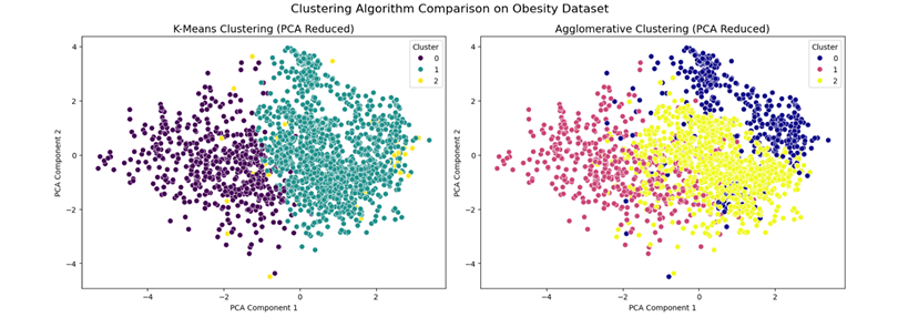 Clusters